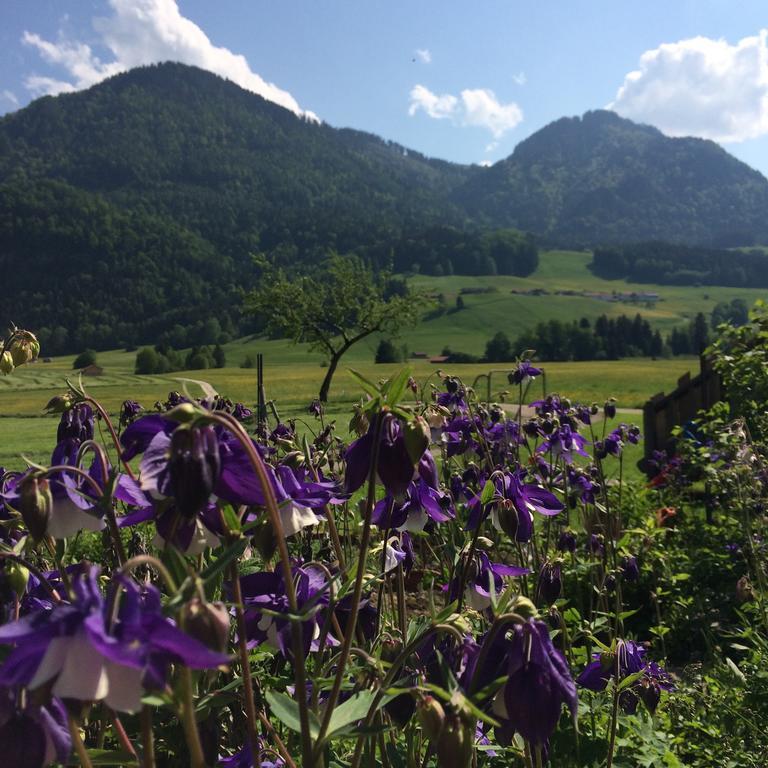 Schifterhof Ruhpolding Villa Exteriör bild