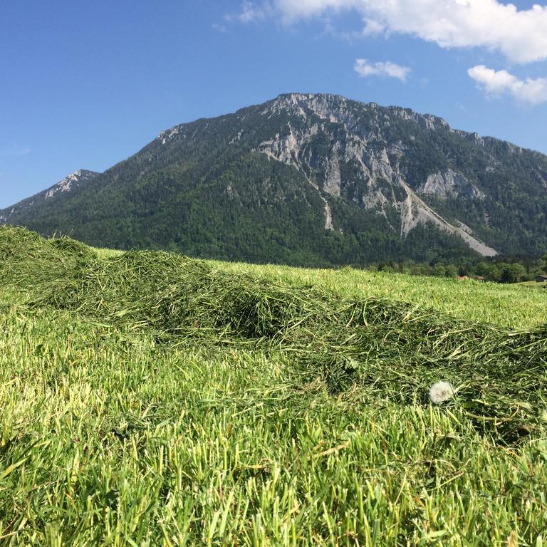 Schifterhof Ruhpolding Villa Exteriör bild